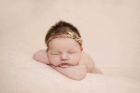 Amelia - 13